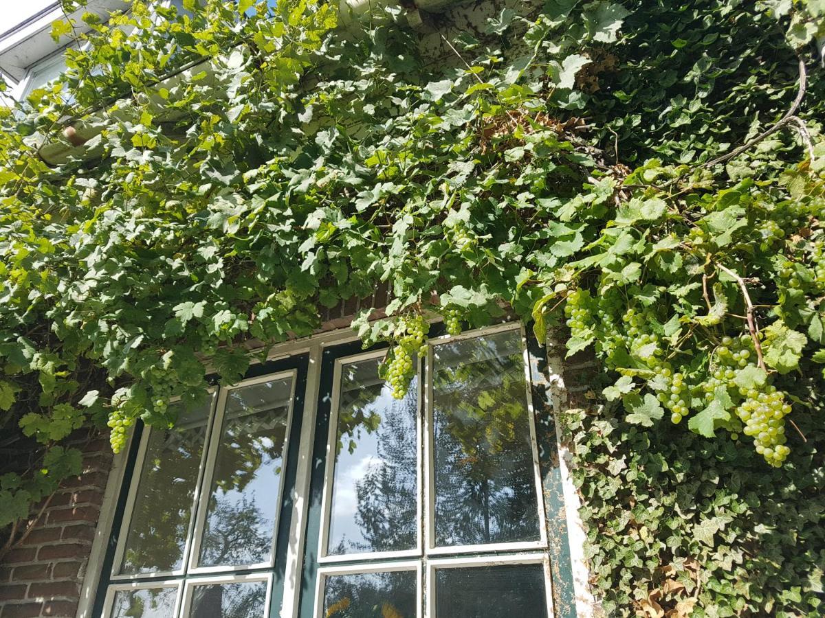 B&B De Panheide Hooghalen Extérieur photo