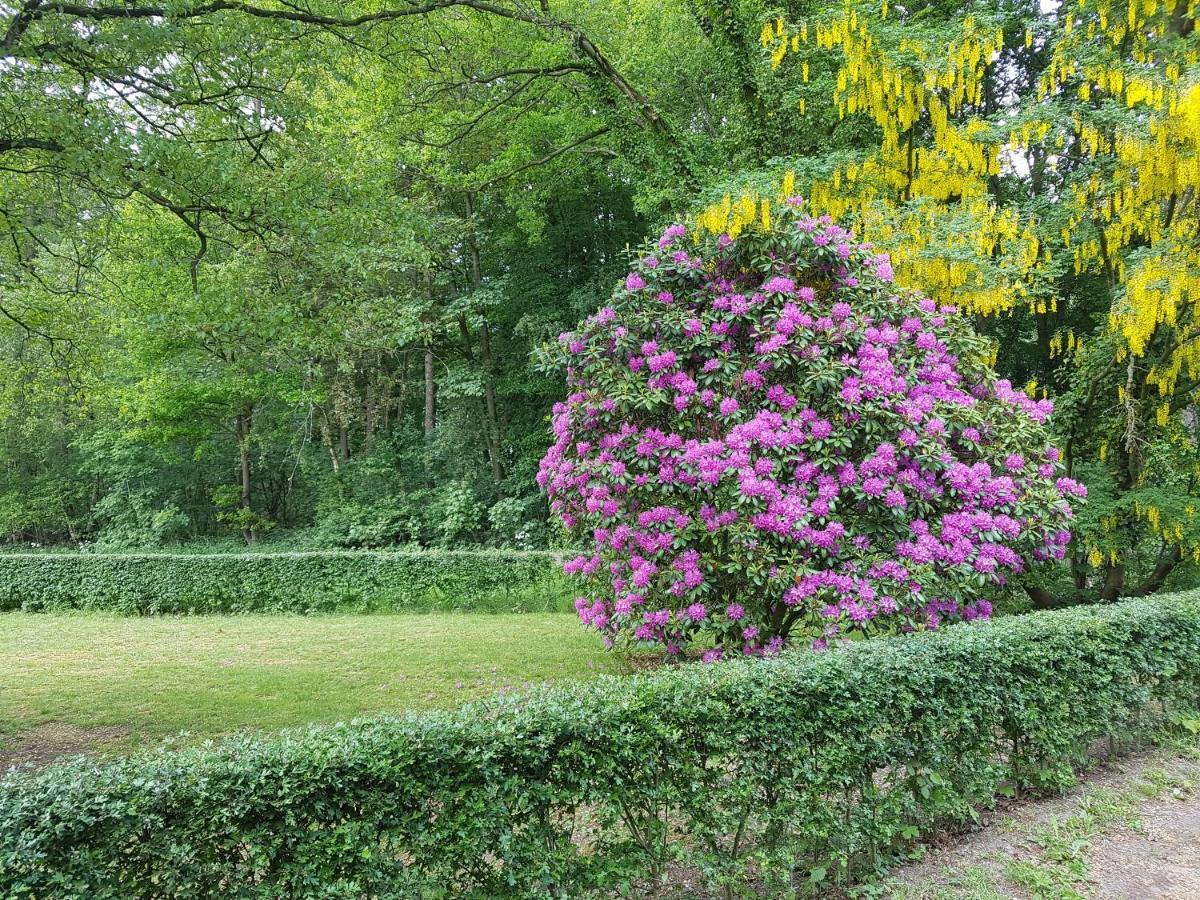 B&B De Panheide Hooghalen Extérieur photo